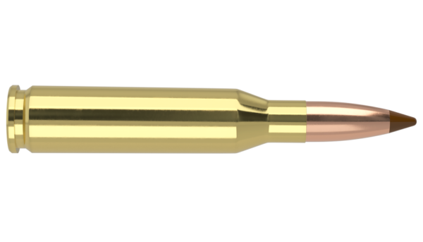 260 REMINGTON 140G BALLISTIC TIP HUNTING AMMUNITION