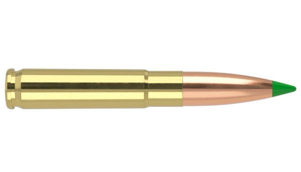 300 AAC BLACKOUT 125GR BALLISTIC TIP HUNTING AMMUNITION