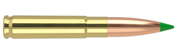 300 AAC BLACKOUT 220GR BALLISTIC TIP HUNTING AMMUNITION