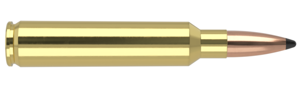 30 NOSLER 200GR PARTITION TROPHY GRADE AMMUNITION