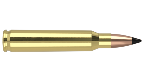 223 REM 55GR FB TIPPED VARMAGEDDON AMMUNITION