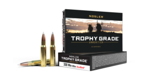Nosler AccuBond 308 Win