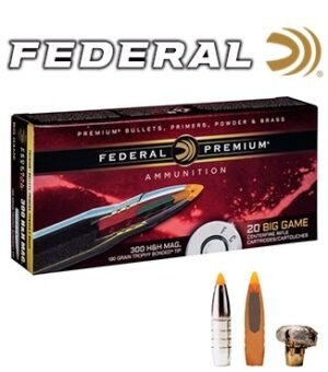 Trophy Bonded Tip 300 H&H Magnum