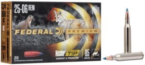 Varmint & Predator Nosler Ballistic Tip 25-06 Remington