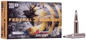 Terminal Ascent 308 Win