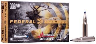 Terminal Ascent 308 Win