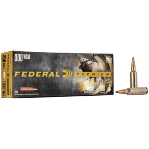 Nosler Partition 300 Win Short Magnum