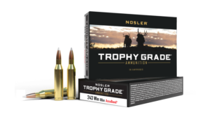 Nosler AccuBond 243 Win