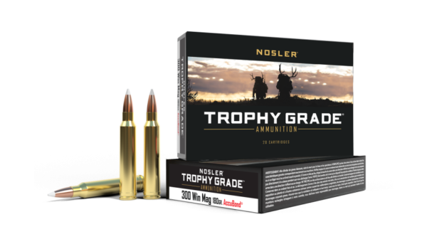 Nosler Ballistic Tip Hunting 300 Win Short Magnum