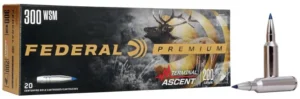 Terminal Ascent 300 Win Short Magnum