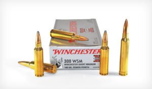 Buckmaster Bonded 300 Win Short Magnum