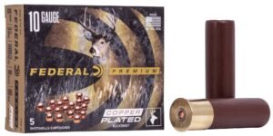 Buckshot 10 Gauge