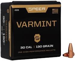 Varmint Hollow Point Bullet .308
