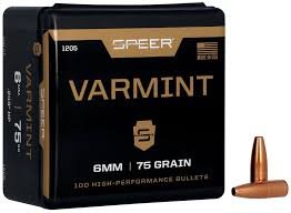 Varmint Hollow Point Bullet .243
