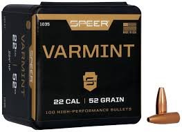 Varmint Hollow Point Bullet .224