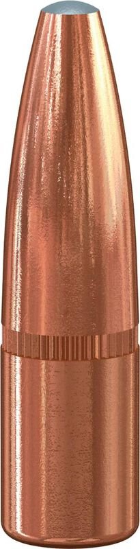 Grand Slam Rifle Bullet .264
